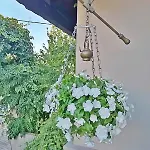 Апартаменты Stirida Stone House Stirion